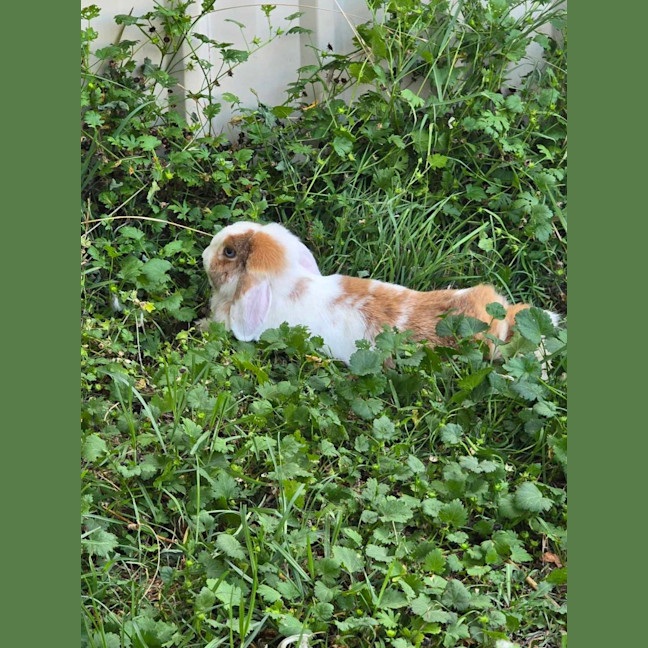 Photo of Aluna & Abby