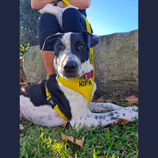 Photo of Hazel