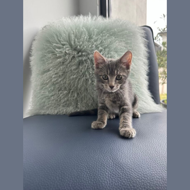 Photo of Murphy
