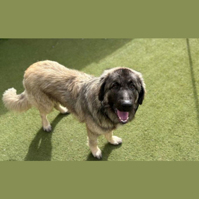 Photo of Maxy