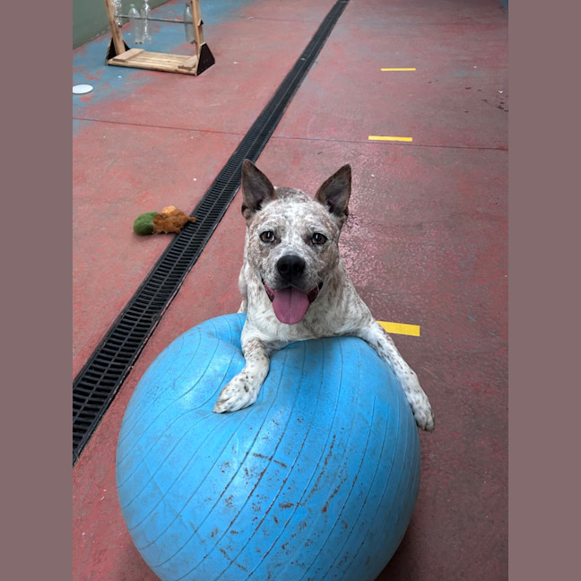 Photo of Bruce