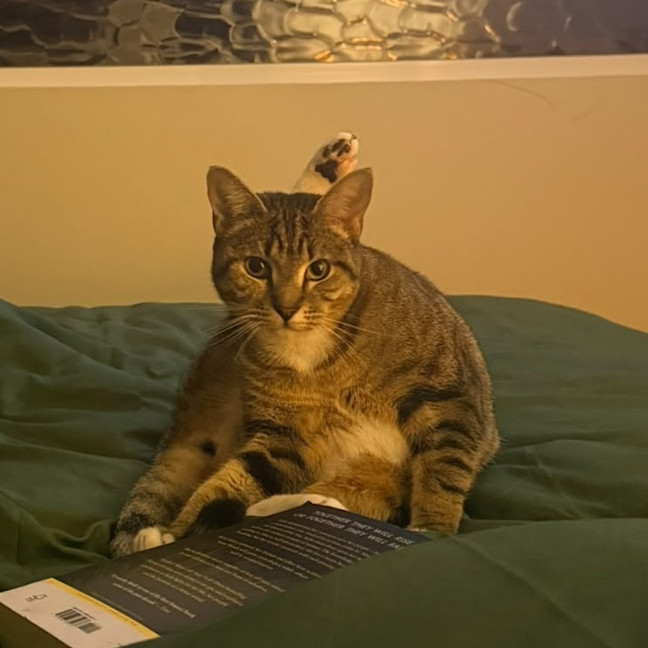 Photo of Sally