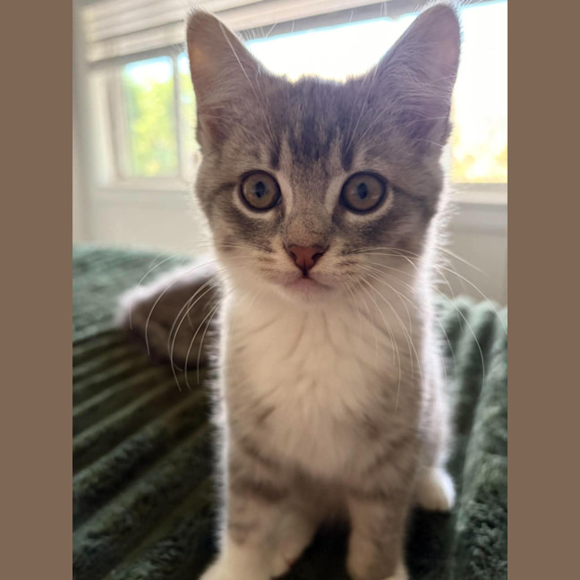 Photo of Bebe