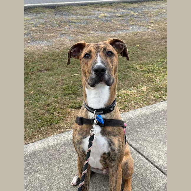 Photo of Tank