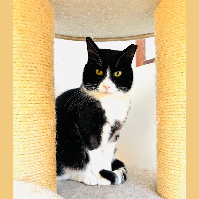 Photo of Gatsby 🌟