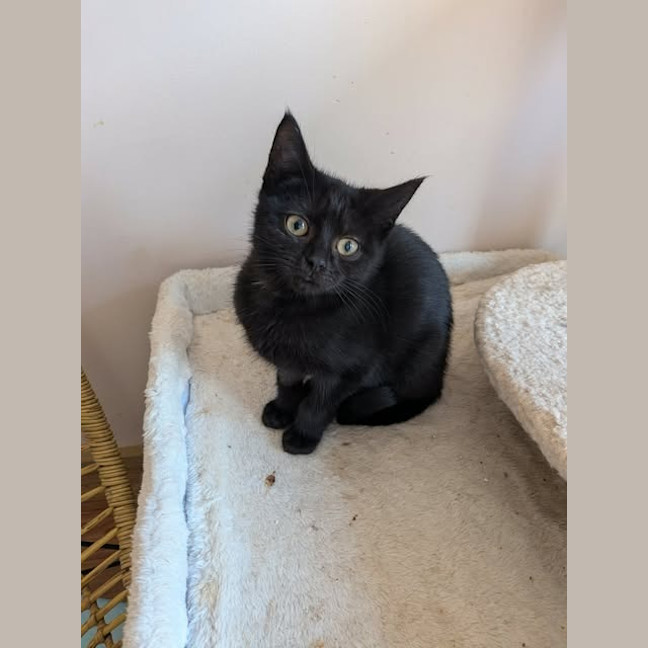 Photo of Lilith