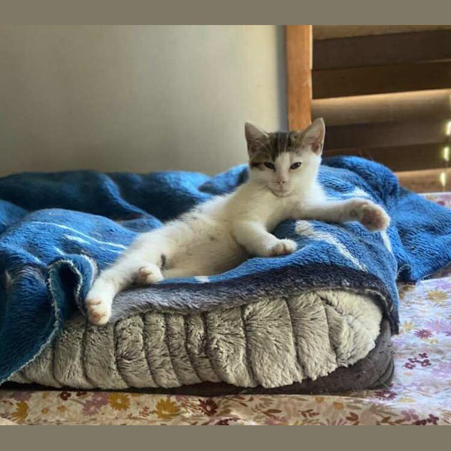 Photo of Marceline 