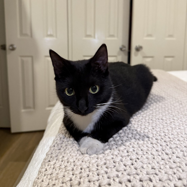 Photo of Miss Mog
