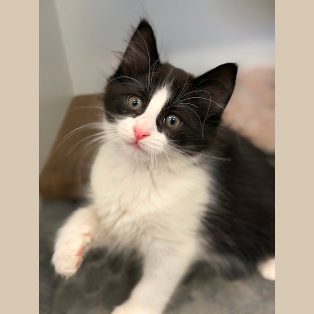 Photo of Wally