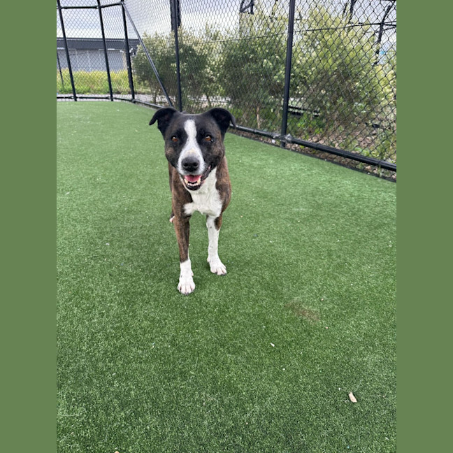 Photo of Rosie Imp 1897