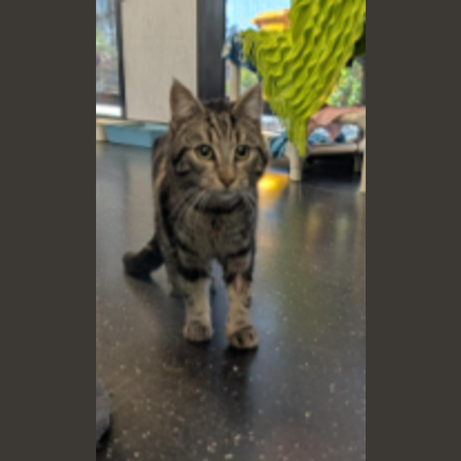 Photo of Mrs. Cunningham