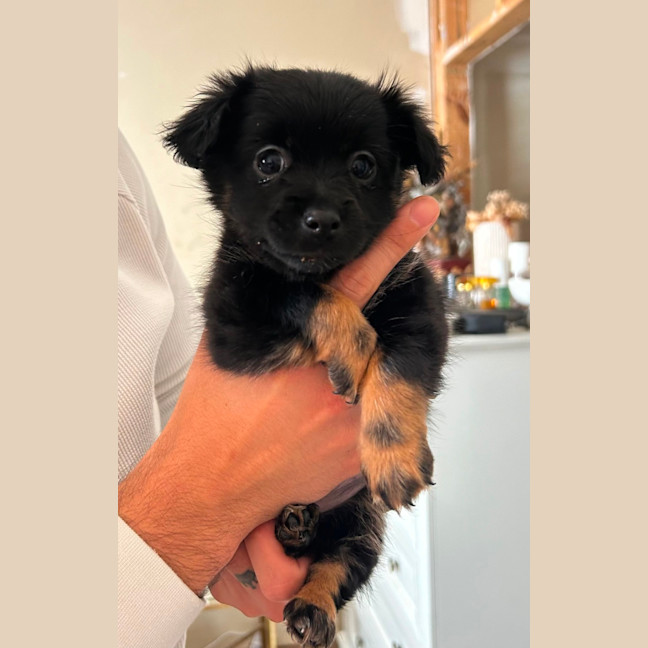 Photo of Chia And Sisters