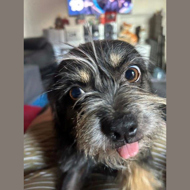 Photo of Jedda O'cleary