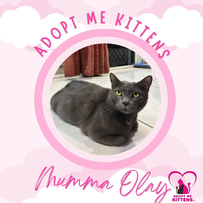 Photo of Mumma Olay