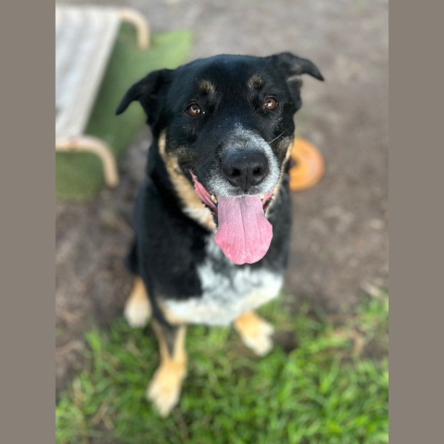 Photo of Leroy Jenkins