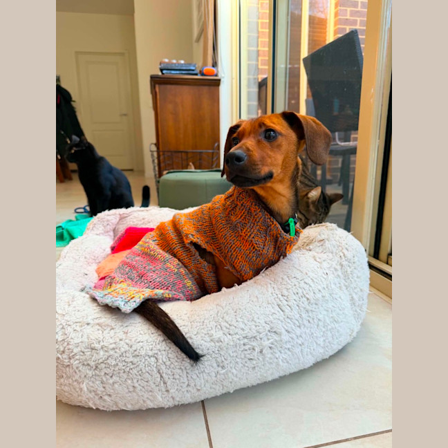 Photo of Coco