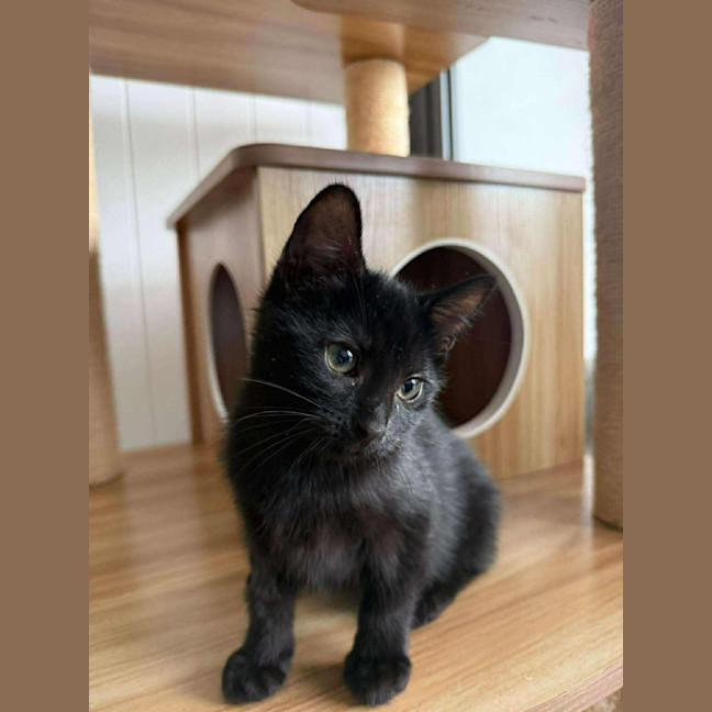 Photo of Laverne