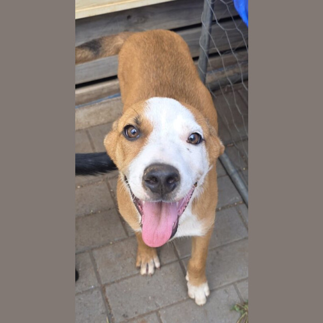 Photo of Shilo
