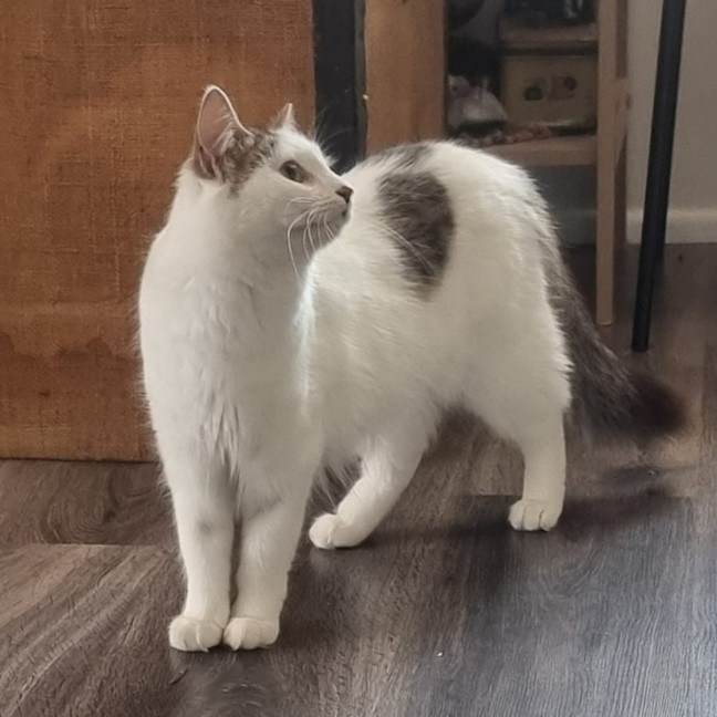 Photo of Lilly
