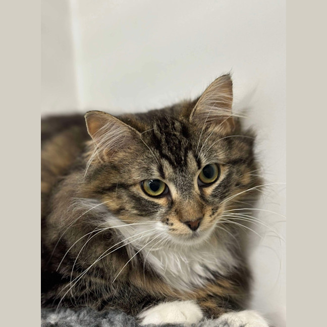 Photo of 🥼 Jesse 5511 🥼