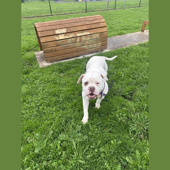 Photo of Jax