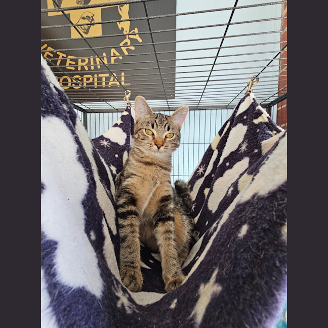 Photo of Thelma & Louise