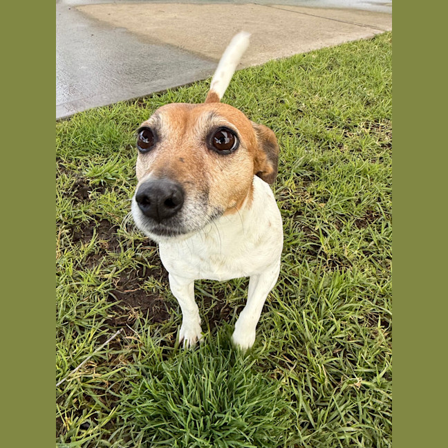 Photo of Chloe