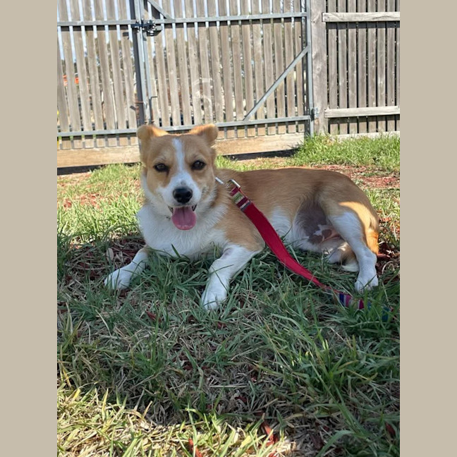 Photo of Alvin