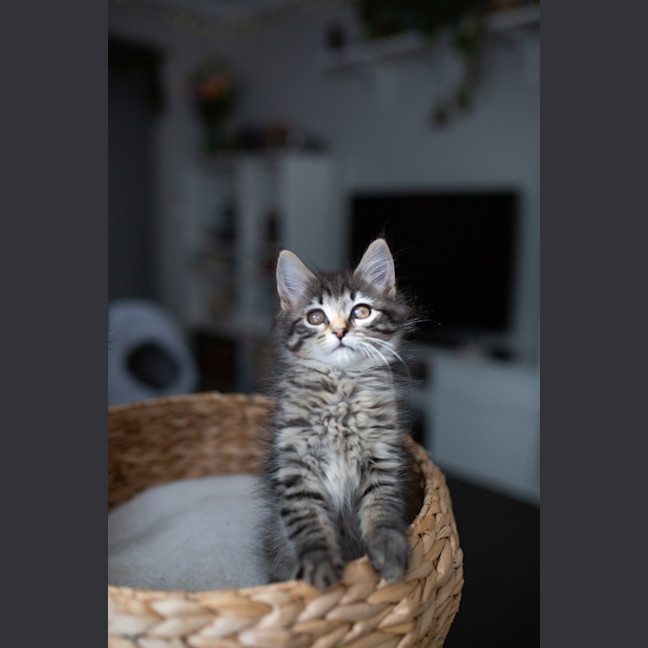 Photo of Stacys Sister