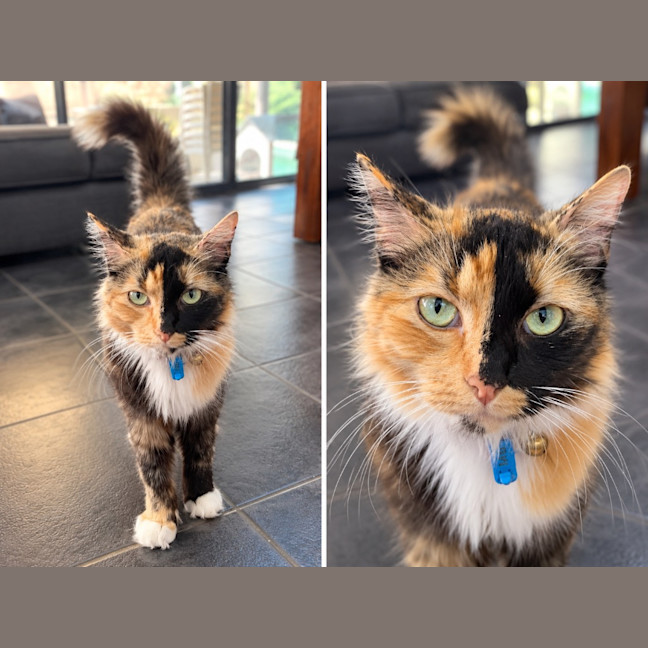 Photo of Isla
