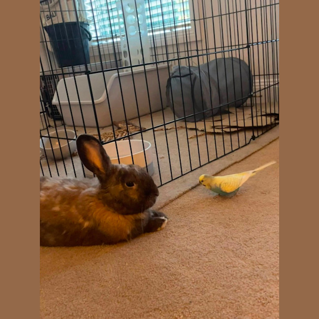 Photo of Emmett