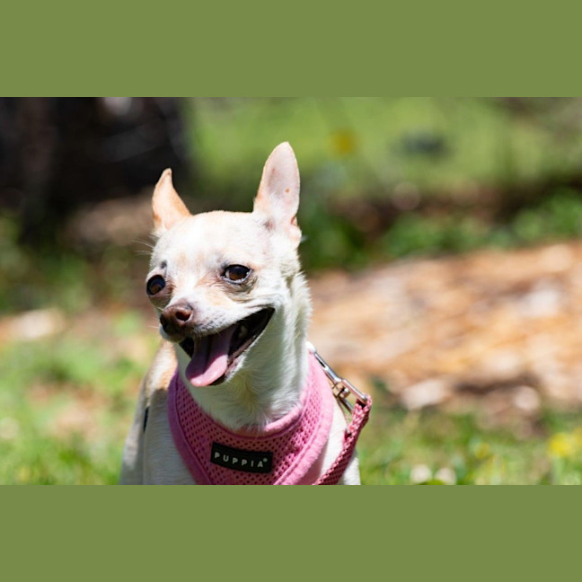 Photo of Holly Silvanus