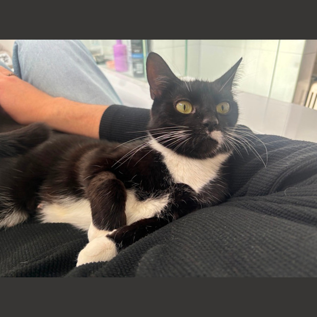 Photo of 🥰 Patricia 🥰
