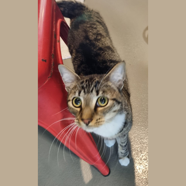Photo of Catrick Swayze