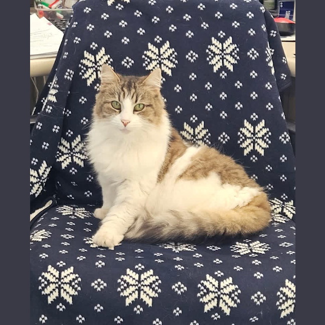 Photo of Maggie