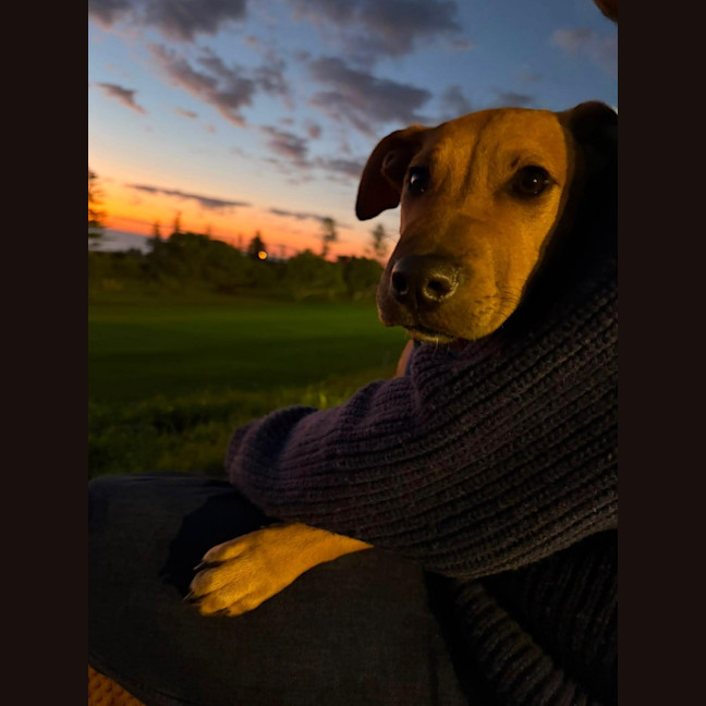 Photo of Penny
