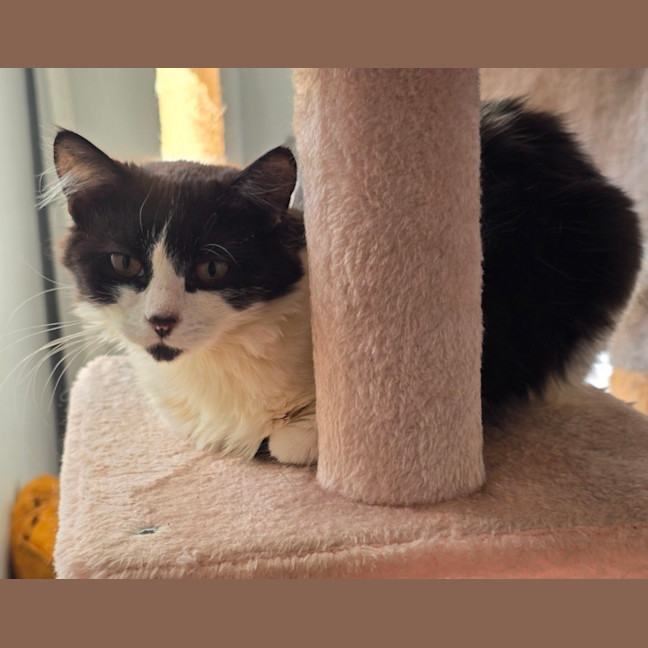 Photo of Zoe