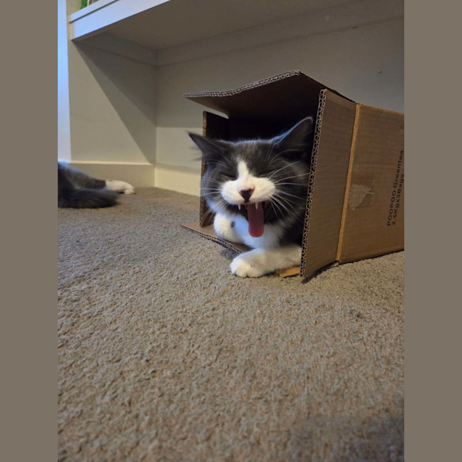 Photo of Yuki