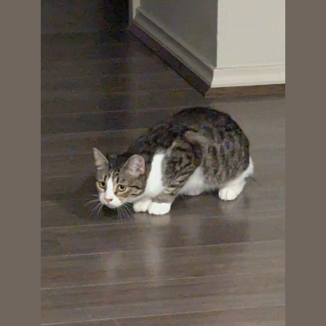 Photo of Kiki (Aka Heiki)