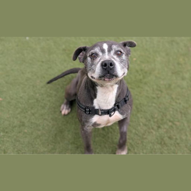 Photo of Unit