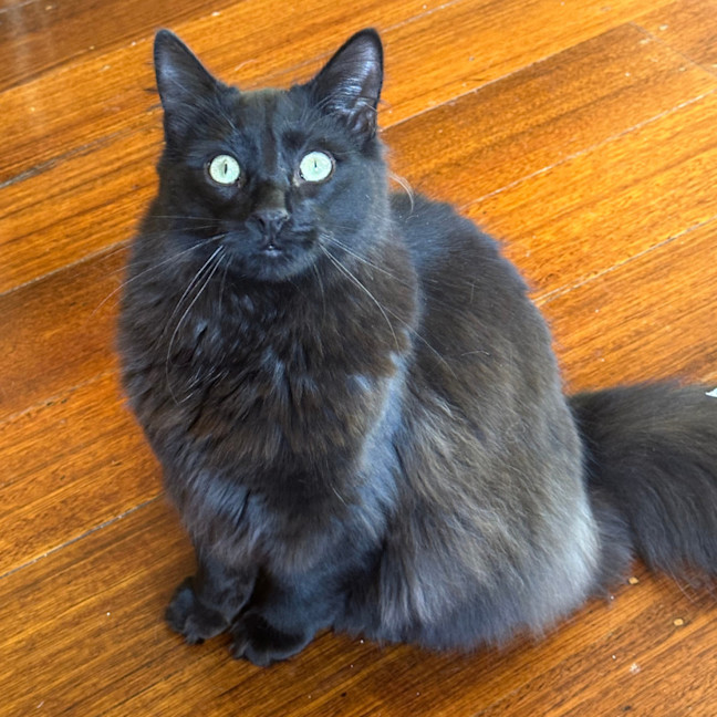 Photo of Max