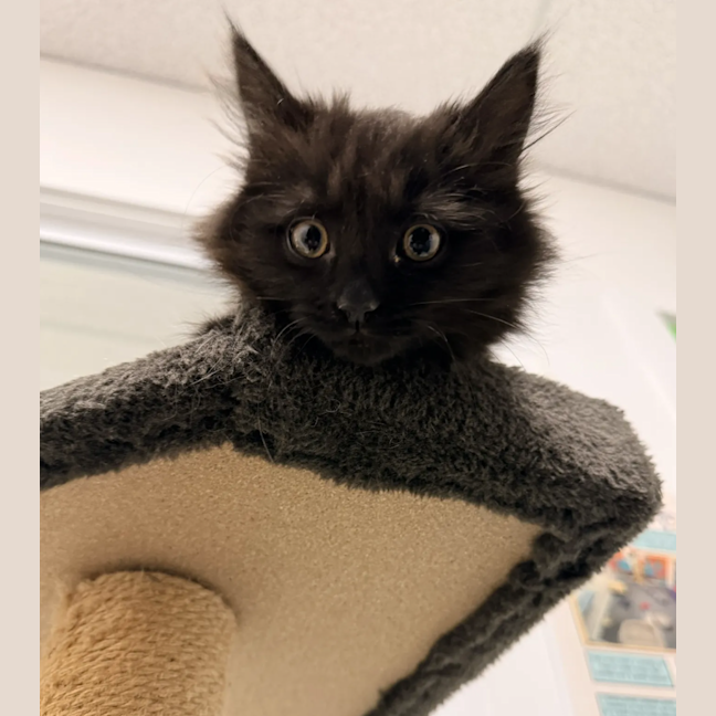 Photo of Maisy
