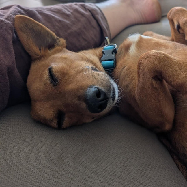 Photo of Rylo