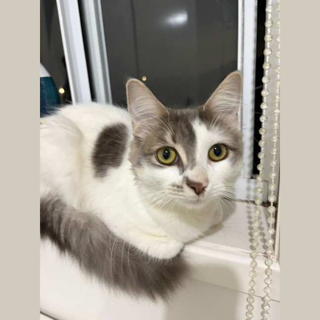 Photo of Susie Q