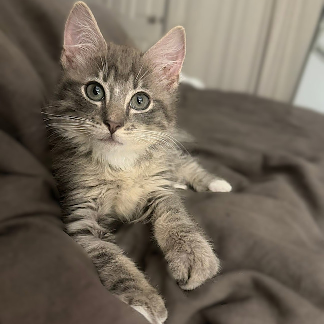 Photo of Ziggy