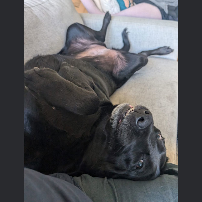 Photo of Kobe