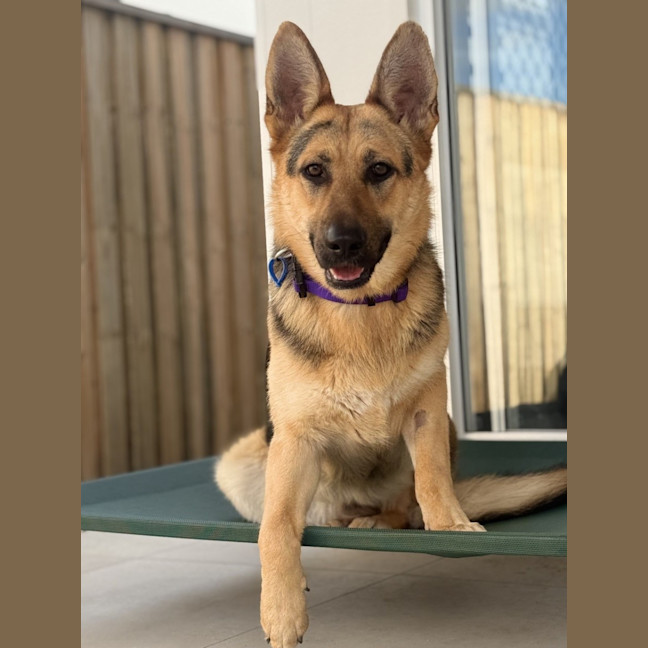 Photo of Darla