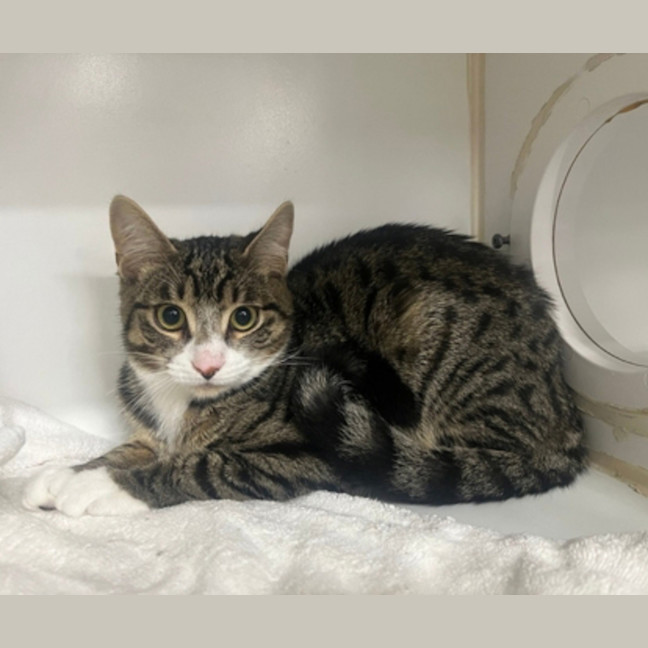 Photo of Greg From Accounts