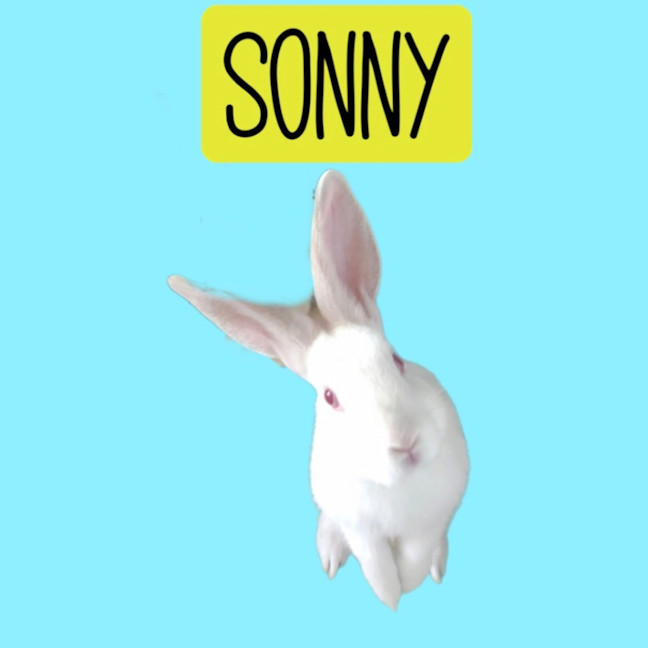Photo of Sonny