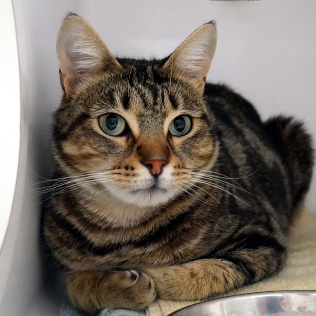 Photo of Buzz Sta015382